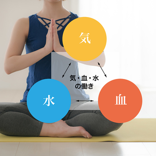気・血・水」 タイプを知って 体調不良を改善！ | 日本統合医学協会