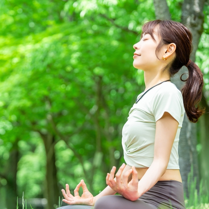 ヨガの深い哲学:八支則(はっしそく)とは何か?