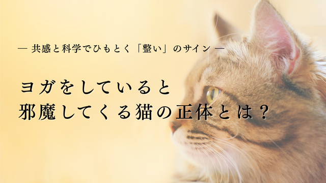ヨガをしていると邪魔してくる猫の正体とは？― 共感と科学でひもとく「整い」のサイン ―