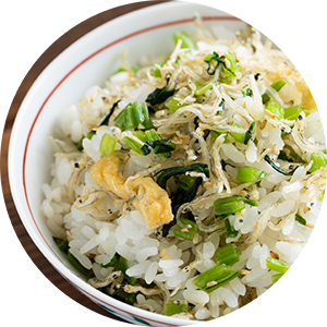 運動×食事×口内ケア専門的知識が同時に学べる