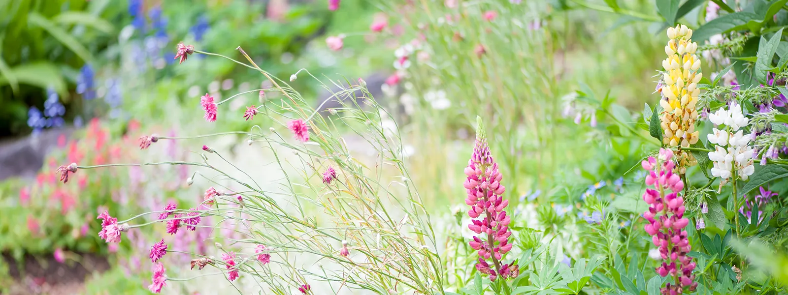 よくあるご質問
