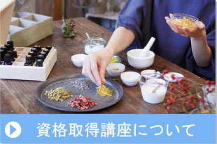 資格取得講座について