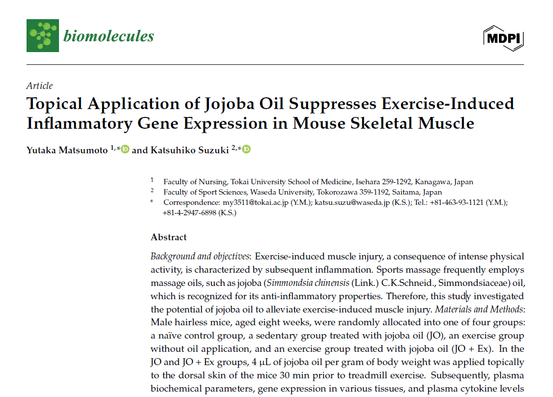 公式テキスト編集委員松本裕先生(東海大学)の学術論文が発表されました
